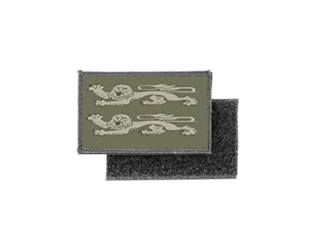 Patch ecusson Imprime Camo Camouflage Badge Drapeau Nor
